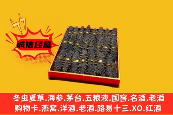 葫芦岛回收海参